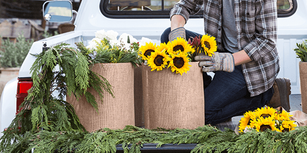 gardener in the bed of a truck with buckets of flowers and pine